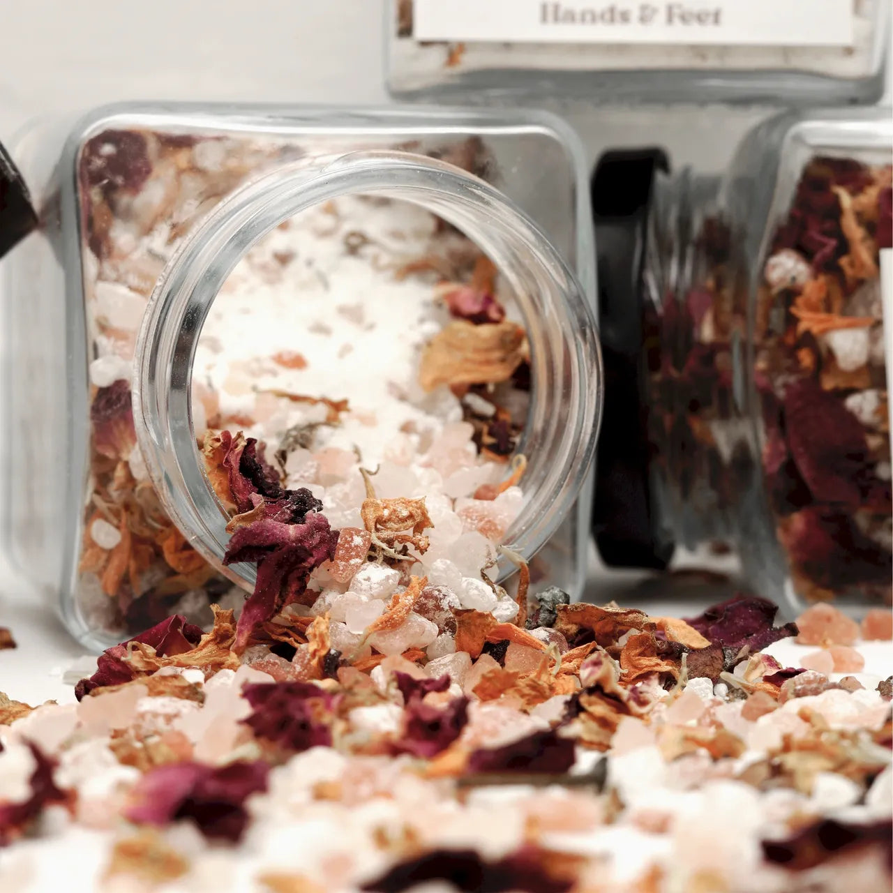 Bloom (Salt Soak)